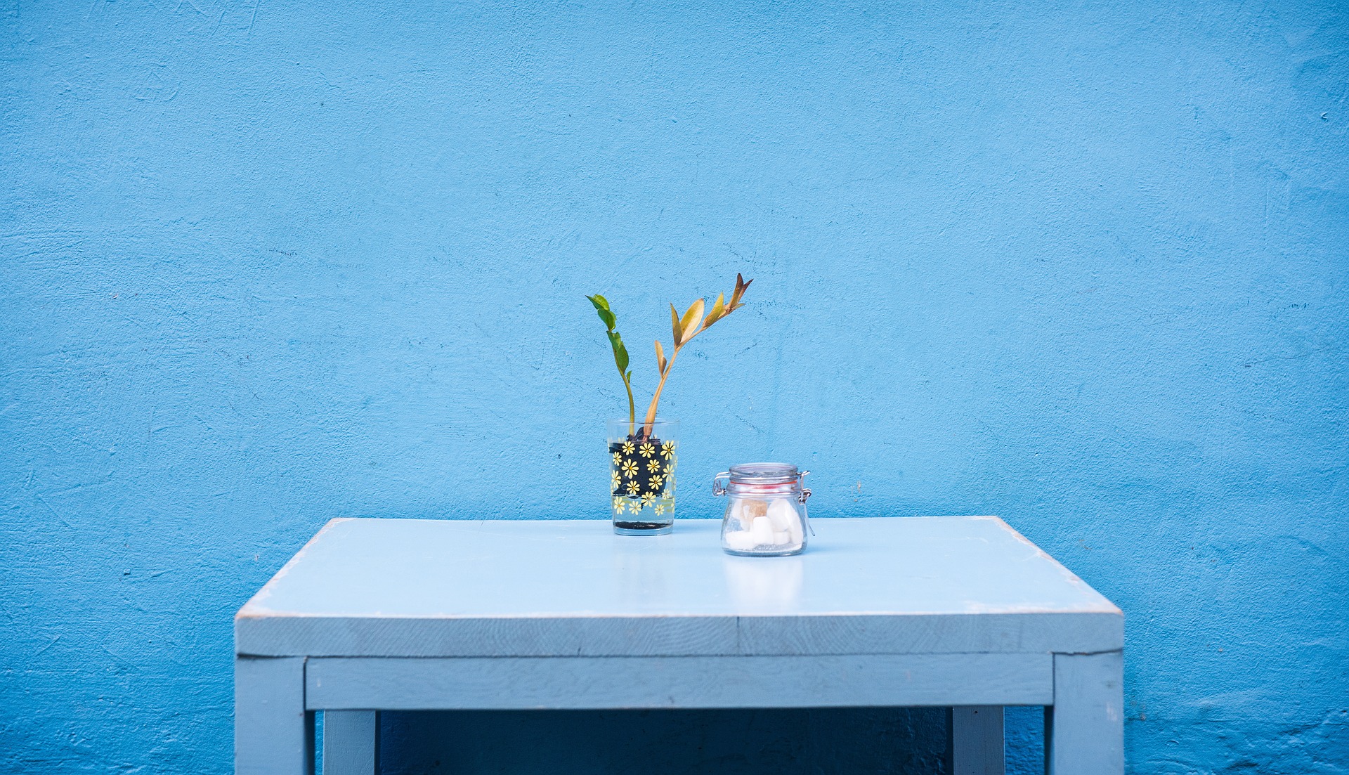 A small, light blue table stands against a matching blue wall. On the table, there's a glass jar with a metal lid containing white objects and a transparent vase holding a few dried leaves and flowers. The scene creates a minimalist and serene aesthetic, reminiscent of an early July morning.